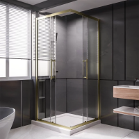 Душевой угол раздвижной 1000Х800x2000 цвет профиля Золото брашированное стекло прозрачное  PTC20-G-10080-01-C4 Premium Veconi